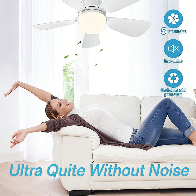 E27 المسمار مروحة السقف الخفيف - مراجعة Home Bathroom Fan وسعره
